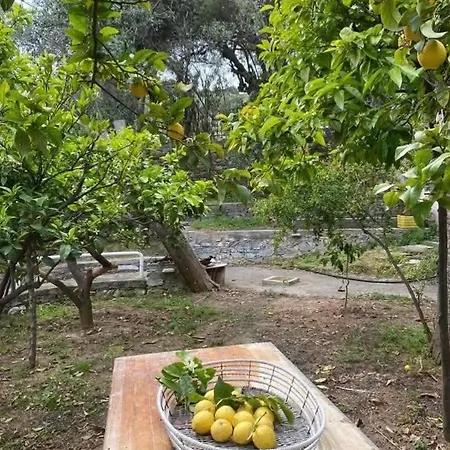 Un Paraiso En La Tierra Apartment